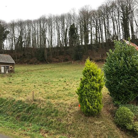 Modern Cottage In Normandy With Large Garden Isigny-le-Buat Exterior photo