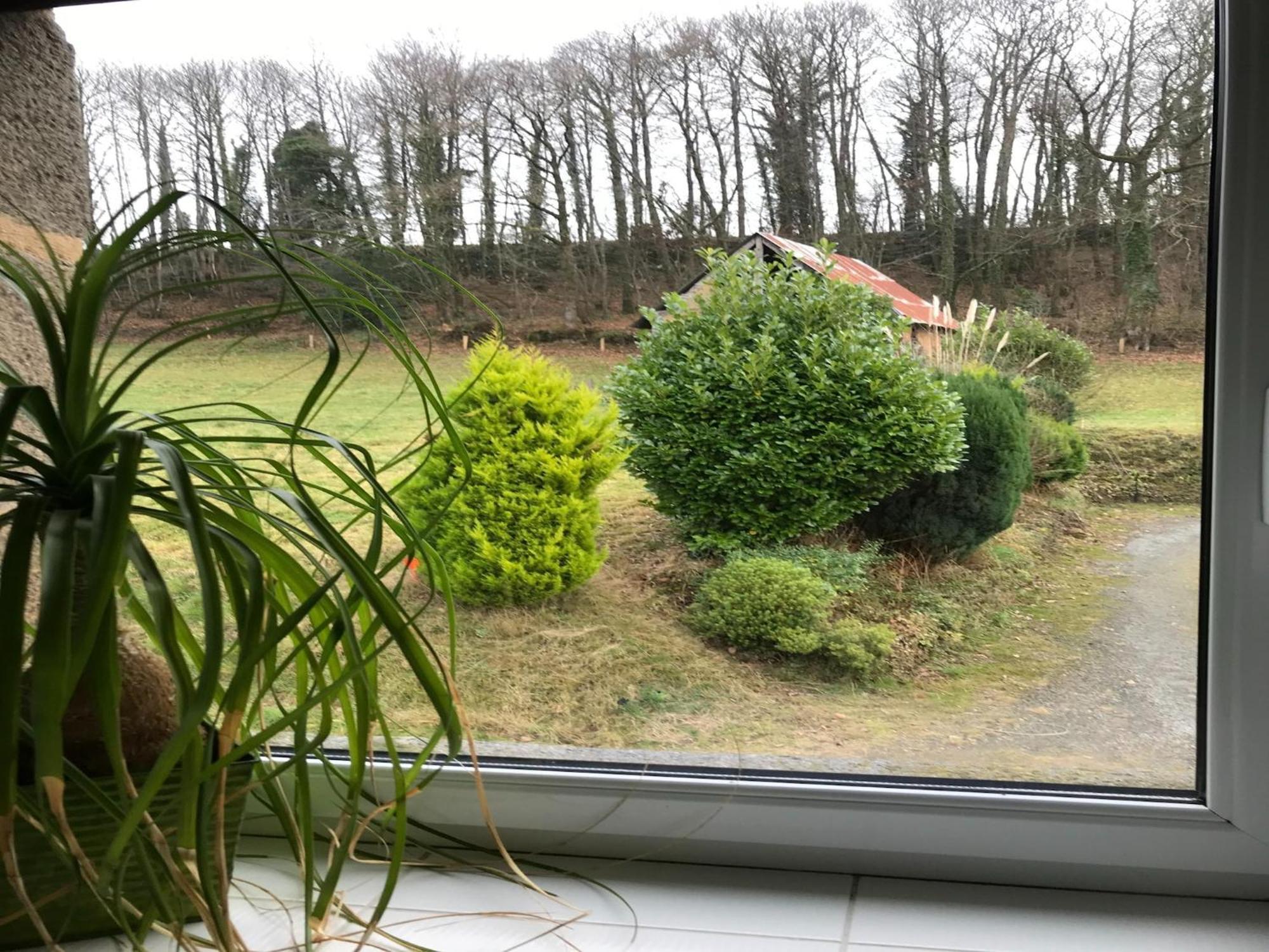 Modern Cottage In Normandy With Large Garden Isigny-le-Buat Exterior photo